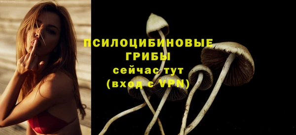 прущая мука Новодвинск