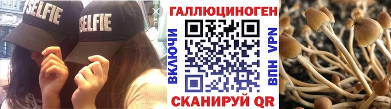 Псилоцибиновые грибы мухоморы Челябинск