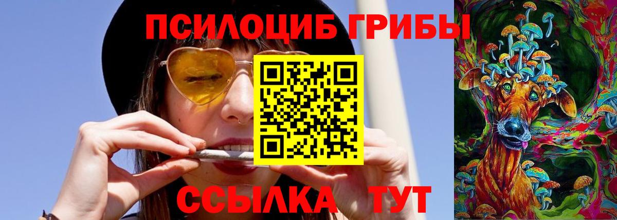 Галлюциногенные грибы Psilocybe Челябинск